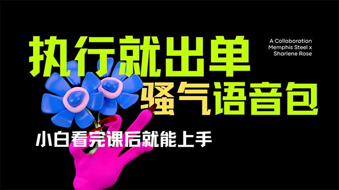 （14170期）爆火全网的开车导航骚气语音包,只要执行就出单，小白看完课程就能实操...-轻创终点站